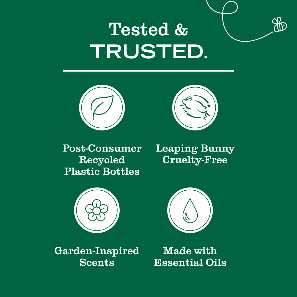 Blueberry Dish Soap
