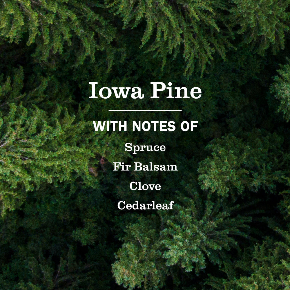 Mrs. Meyer's Iowa Pine Liquid Hand Soap